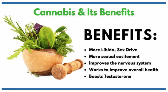 Cannabis featured image for article on Cannabis and male enhancement