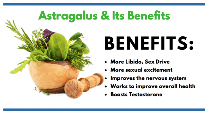 Astragalus FEATURED IMAGE FOR CONSUMER INFO ARTICLE