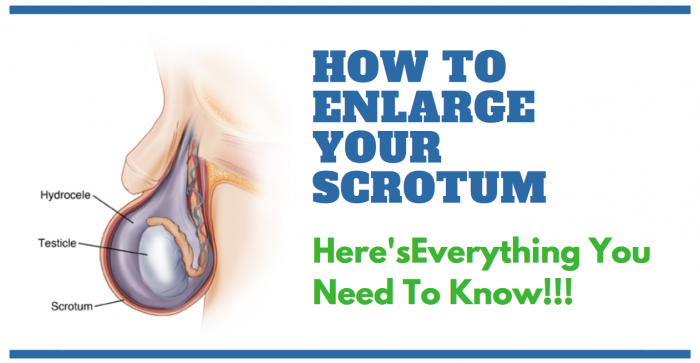 image saying how to enlarge your scrotum