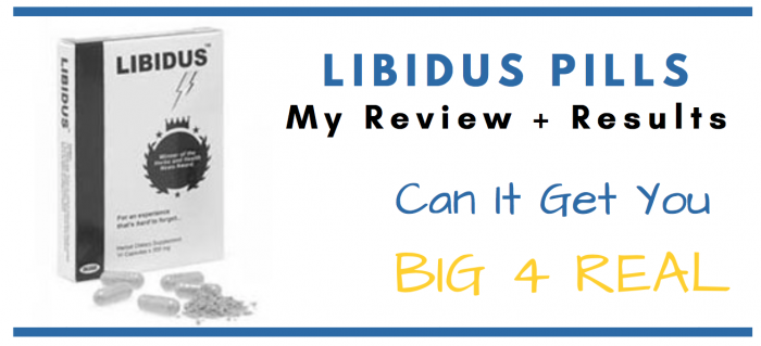 Libidus featured image for review article